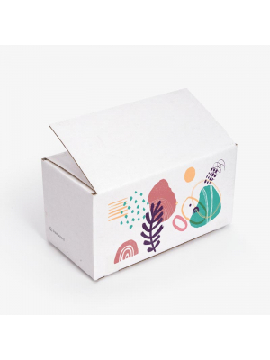 Full Slotted Container