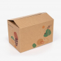 Corrugated Slotted Container