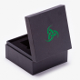Black Hinged Box with Green Logo