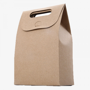 Box Bottom Kraft Bags