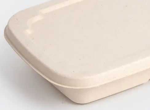 Bagasse