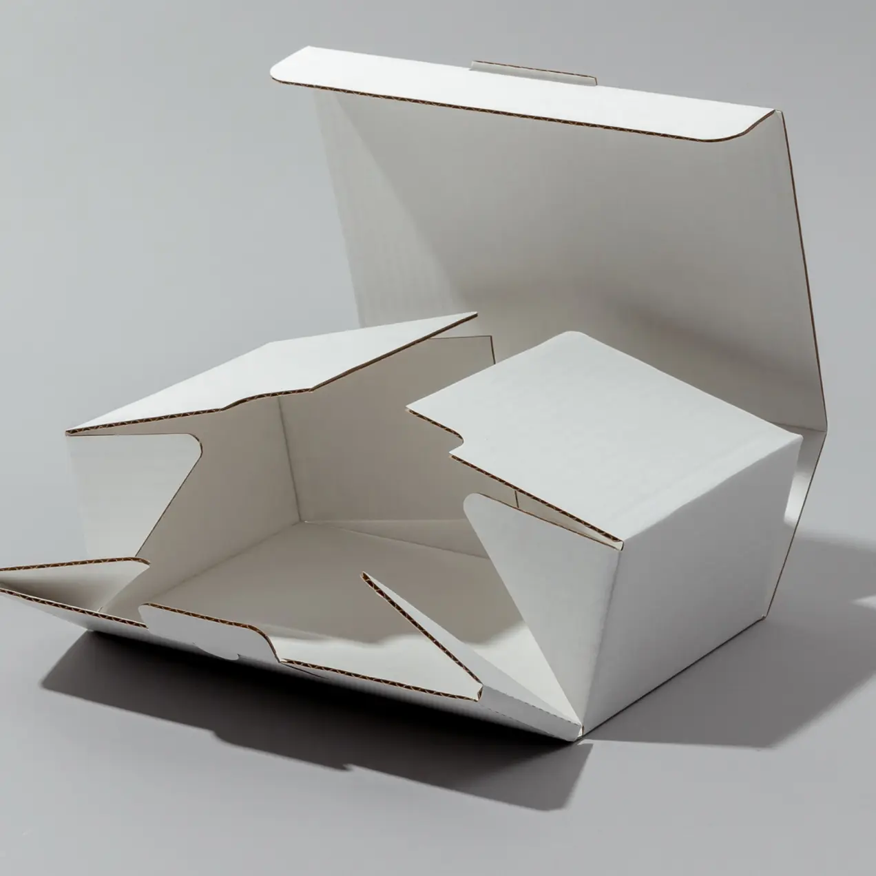 custom printed and size corrugated packaging solutions