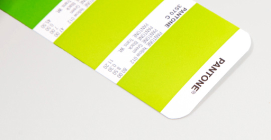 pantone box print option